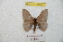  ( - BC-RBP 8703)  @13 [ ] Copyright (2014) Ron Brechlin Research Collection of Ron Brechlin
