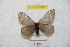  ( - BC-RBP 8707)  @14 [ ] Copyright (2014) Ron Brechlin Research Collection of Ron Brechlin