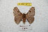  ( - BC-RBP 8719)  @13 [ ] Copyright (2014) Ron Brechlin Research Collection of Ron Brechlin