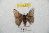  ( - BC-RBP 8720)  @13 [ ] Copyright (2014) Ron Brechlin Research Collection of Ron Brechlin