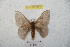  ( - BC-RBP 8722)  @13 [ ] Copyright (2014) Ron Brechlin Research Collection of Ron Brechlin