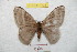  ( - BC-RBP 8723)  @14 [ ] Copyright (2014) Ron Brechlin Research Collection of Ron Brechlin