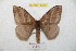  ( - BC-RBP 8725)  @14 [ ] Copyright (2014) Ron Brechlin Research Collection of Ron Brechlin
