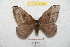  ( - BC-RBP 8726)  @14 [ ] Copyright (2014) Ron Brechlin Research Collection of Ron Brechlin