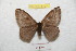  ( - BC-RBP 8727)  @13 [ ] Copyright (2014) Ron Brechlin Research Collection of Ron Brechlin