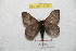  ( - BC-RBP 8735)  @13 [ ] Copyright (2014) Ron Brechlin Research Collection of Ron Brechlin