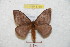  ( - BC-RBP 8760)  @13 [ ] Copyright (2014) Ron Brechlin Research Collection of Ron Brechlin