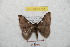  ( - BC-RBP 8765)  @13 [ ] Copyright (2014) Ron Brechlin Research Collection of Ron Brechlin