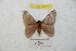  ( - BC-RBP 8773)  @13 [ ] Copyright (2014) Ron Brechlin Research Collection of Ron Brechlin