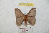  ( - BC-RBP 8775)  @14 [ ] Copyright (2014) Ron Brechlin Research Collection of Ron Brechlin