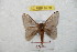  ( - BC-RBP 8778)  @13 [ ] Copyright (2014) Ron Brechlin Research Collection of Ron Brechlin