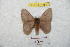  ( - BC-RBP 8784)  @13 [ ] Copyright (2014) Ron Brechlin Research Collection of Ron Brechlin