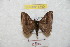  ( - BC-RBP 8790)  @12 [ ] Copyright (2014) Ron Brechlin Research Collection of Ron Brechlin