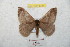  ( - BC-RBP 8791)  @13 [ ] Copyright (2014) Ron Brechlin Research Collection of Ron Brechlin