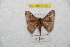  ( - BC-RBP 8797)  @14 [ ] Copyright (2014) Ron Brechlin Research Collection of Ron Brechlin