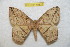  ( - BC-RBP 10822)  @14 [ ] Copyright (2017) Ron Brechlin Research Collection of Ron Brechlin