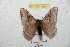  ( - BC-RBP 8804)  @13 [ ] Copyright (2014) Ron Brechlin Research Collection of Ron Brechlin