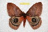  ( - BC-RBP 10833)  @11 [ ] Copyright (2017) Ron Brechlin Research Collection of Ron Brechlin