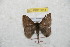  ( - BC-RBP 8814)  @11 [ ] Copyright (2014) Ron Brechlin Research Collection of Ron Brechlin