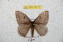  ( - BC-RBP 8816)  @13 [ ] Copyright (2014) Ron Brechlin Research Collection of Ron Brechlin