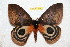  ( - BC-RBP 10843)  @11 [ ] Copyright (2017) Ron Brechlin Research Collection of Ron Brechlin