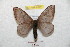  ( - BC-RBP 8822)  @13 [ ] Copyright (2014) Ron Brechlin Research Collection of Ron Brechlin
