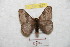  ( - BC-RBP 8827)  @13 [ ] Copyright (2014) Ron Brechlin Research Collection of Ron Brechlin