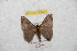  ( - BC-RBP 8840)  @13 [ ] Copyright (2014) Ron Brechlin Research Collection of Ron Brechlin
