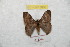  ( - BC-RBP 8856)  @11 [ ] Copyright (2014) Ron Brechlin Research Collection of Ron Brechlin