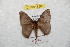 ( - BC-RBP 8860)  @14 [ ] Copyright (2014) Ron Brechlin Research Collection of Ron Brechlin