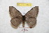  ( - BC-RBP 8871)  @14 [ ] Copyright (2014) Ron Brechlin Research Collection of Ron Brechlin
