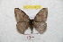 ( - BC-RBP 8876)  @14 [ ] Copyright (2014) Ron Brechlin Research Collection of Ron Brechlin