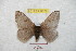  ( - BC-RBP 8879)  @13 [ ] Copyright (2014) Ron Brechlin Research Collection of Ron Brechlin