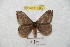  ( - BC-RBP 8880)  @14 [ ] Copyright (2014) Ron Brechlin Research Collection of Ron Brechlin
