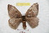  ( - BC-RBP 8885)  @13 [ ] Copyright (2014) Ron Brechlin Research Collection of Ron Brechlin