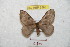  ( - BC-RBP 8893)  @12 [ ] Copyright (2014) Ron Brechlin Research Collection of Ron Brechlin