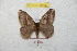  ( - BC-RBP 8898)  @11 [ ] Copyright (2014) Ron Brechlin Research Collection of Ron Brechlin