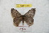  ( - BC-RBP 8902)  @12 [ ] Copyright (2014) Ron Brechlin Research Collection of Ron Brechlin