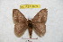  ( - BC-RBP 8909)  @13 [ ] Copyright (2014) Ron Brechlin Research Collection of Ron Brechlin