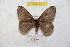  ( - BC-RBP 8912)  @13 [ ] Copyright (2014) Ron Brechlin Research Collection of Ron Brechlin