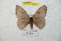  ( - BC-RBP 8913)  @13 [ ] Copyright (2014) Ron Brechlin Research Collection of Ron Brechlin