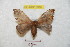  ( - BC-RBP 8916)  @13 [ ] Copyright (2014) Ron Brechlin Research Collection of Ron Brechlin
