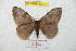  ( - BC-RBP 8919)  @13 [ ] Copyright (2014) Ron Brechlin Research Collection of Ron Brechlin