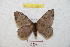  ( - BC-RBP 8920)  @14 [ ] Copyright (2014) Ron Brechlin Research Collection of Ron Brechlin