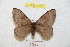  ( - BC-RBP 8926)  @14 [ ] Copyright (2014) Ron Brechlin Research Collection of Ron Brechlin