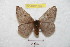  ( - BC-RBP 8927)  @13 [ ] Copyright (2014) Ron Brechlin Research Collection of Ron Brechlin