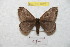  ( - BC-RBP 8928)  @13 [ ] Copyright (2014) Ron Brechlin Research Collection of Ron Brechlin