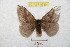  ( - BC-RBP 8930)  @13 [ ] Copyright (2014) Ron Brechlin Research Collection of Ron Brechlin