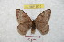  ( - BC-RBP 8933)  @13 [ ] Copyright (2014) Ron Brechlin Research Collection of Ron Brechlin