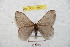  ( - BC-RBP 8938)  @11 [ ] Copyright (2015) Ron Brechlin Research Collection of Ron Brechlin